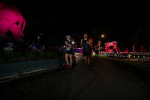 BIB: 
                            <button type="button" onclick="openModal(26552608)" class="btn btn-primary btn-sm float-right btn-popup" data-toggle="modal" data-target=".modal-high-quality">
                        <i class="fas fa-shopping-cart"></i> Add to Cart
                    </button>
                                            <button type="button" onclick="isThisMe(26552608, true)" class="btn btn-success btn-sm float-right btn-popup btn-isme hidden" data-toggle="tooltip" data-placement="bottom" title="นี่คือรูปของคุณใช่ไหม คลิกที่นี่เพื่อเอาเข้าอัลบั้ม">
                        <i class="fas fa-plus"></i> Add to album
                    </button>
                    <button type="button" onclick="isThisMe(26552608, false)" class="btn btn-warning btn-sm float-right btn-popup btn-isnotme hidden">
                        <i class="fas fa-ban"></i> Remove from album
                    </button>